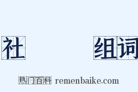 社會問題组词是什么意思的图片